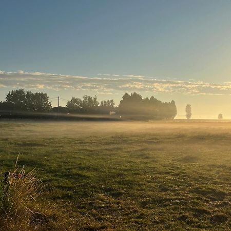 Kamille Villa Middelkerke Eksteriør billede