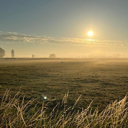 Kamille Villa Middelkerke Eksteriør billede