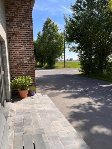 Kamille Villa Middelkerke Eksteriør billede